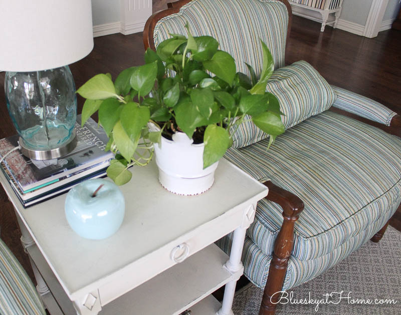 green plant in white container on white table