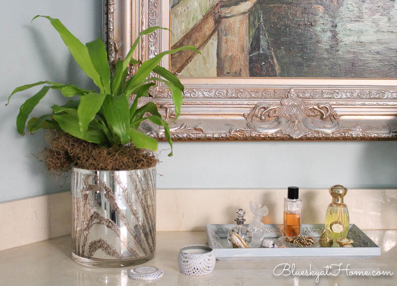 corn plant on bathroom vanity in home decor