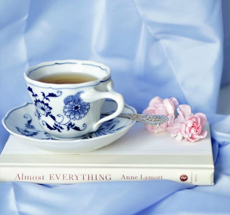 Blue and white teacup on book