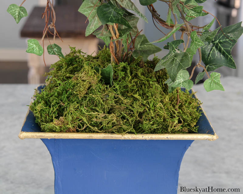 green moss in painted container