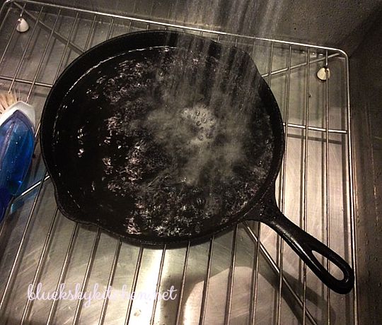Why You Should Have a Cast~Iron Skillet