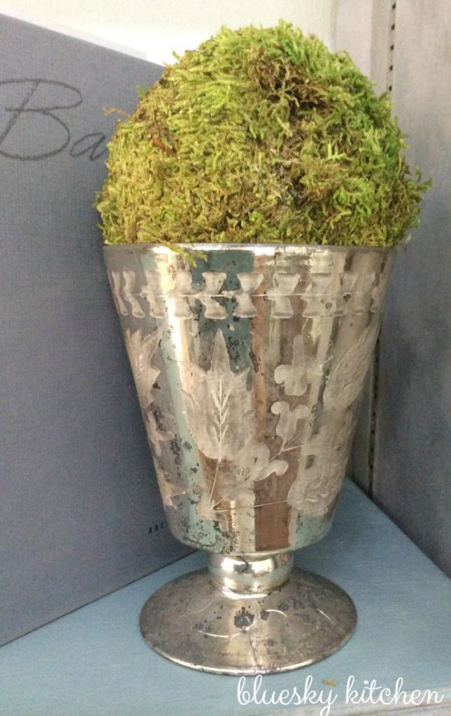 How to use moss as a decorative accent