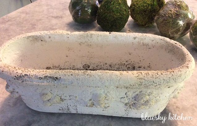 How to use moss as a decorative accent