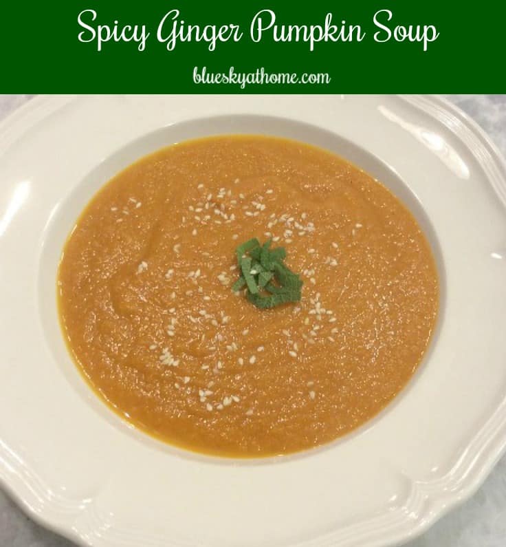 Spicy Pumpkin Soup with Sesame Seeds is a delicious dish perfect for chilly fall nights. Start~to~finish instructions and equipment tips. BlueskyatHome.com