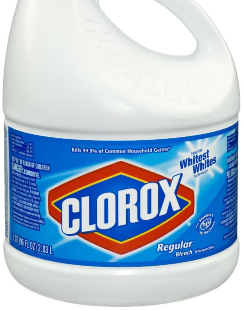 bottle of Clorox bleach