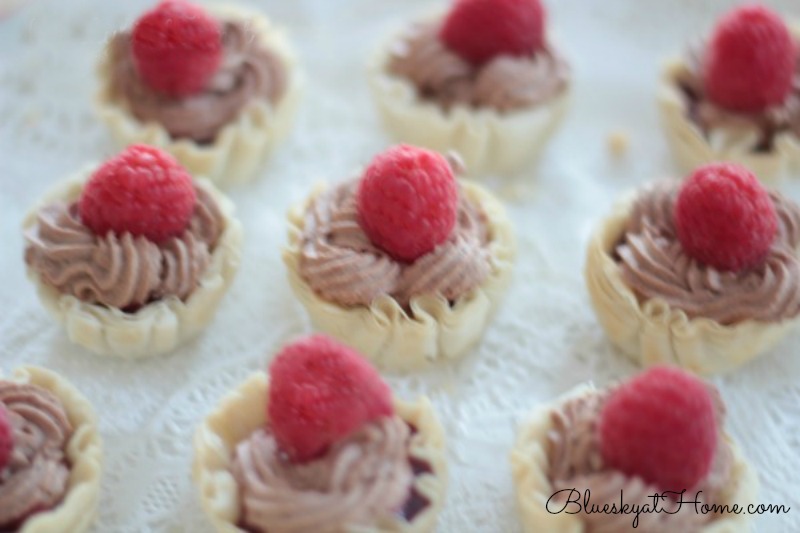 Raspberry Chocolate Mousse Tartlet