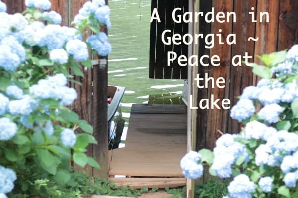 A Garden in Georgia ~ Peace at the Lake