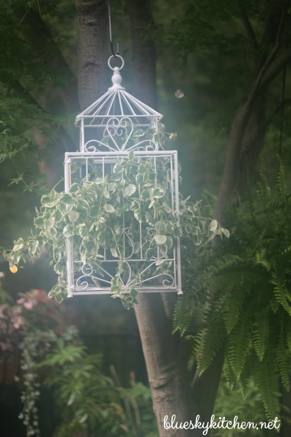 Estate Sale Bird Cage Becomes Backyard Planter