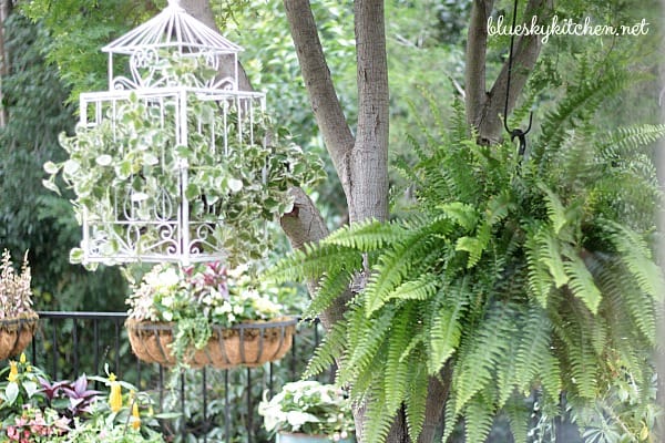 Estate Sale Bird Cage Becomes Backyard Planter