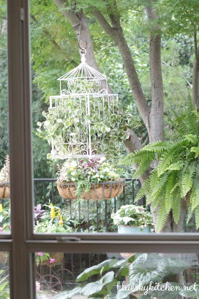 Estate Sale Bird Cage Becomes Backyard Planter