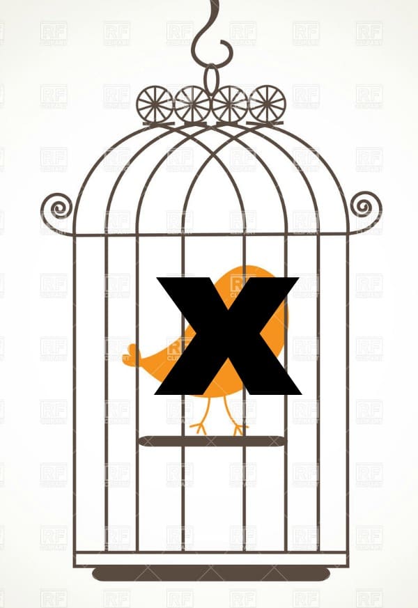 no bird in a birdcage