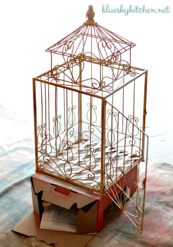 birdcage before painting