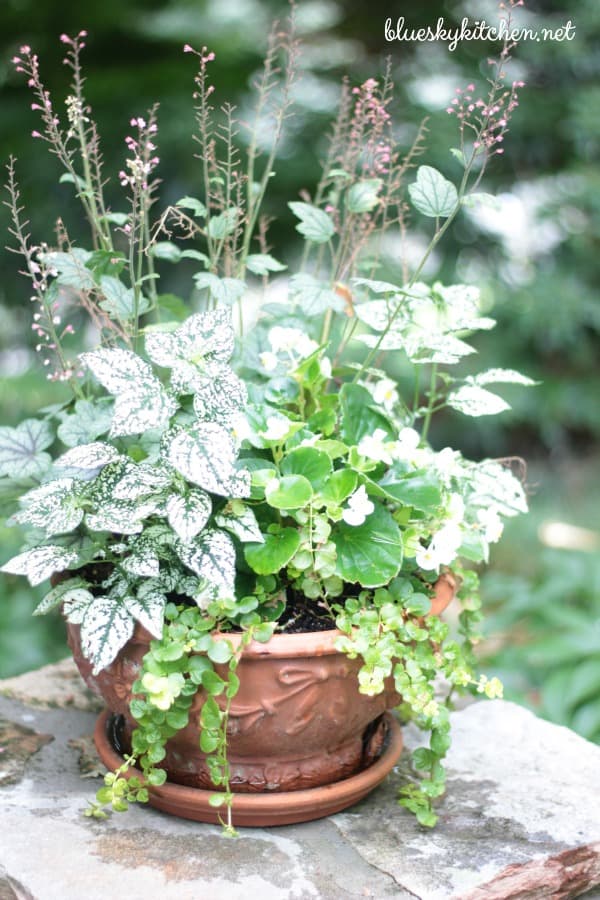 A Garden In Georgia ~ Peace at the Lake