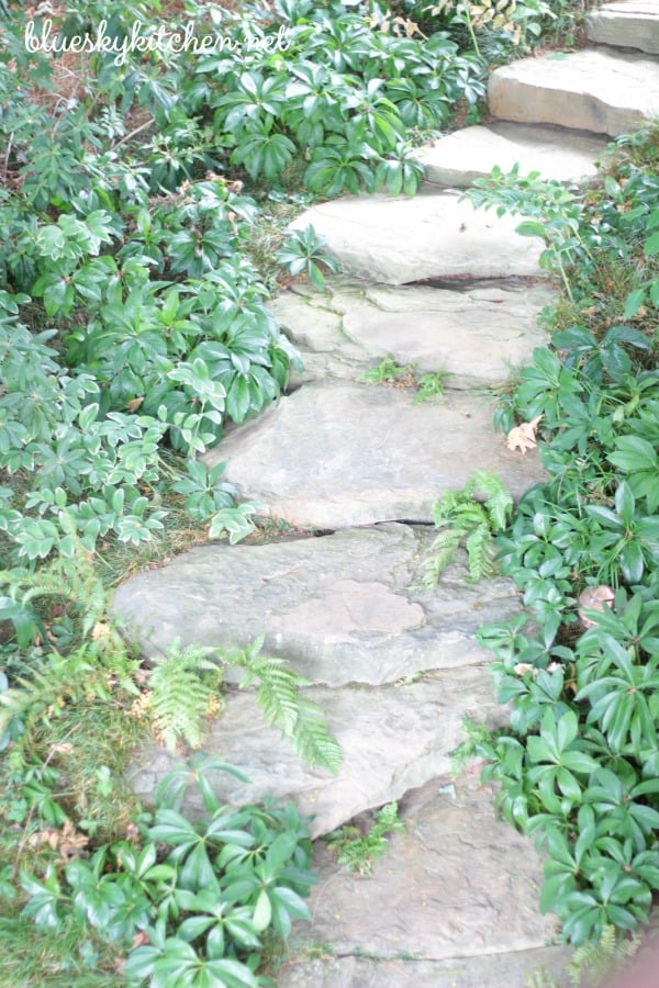 A Garden in Georgia ~ Peace at the Lake