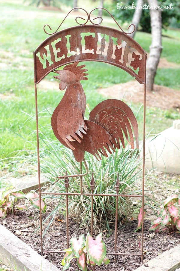 rooster welcome