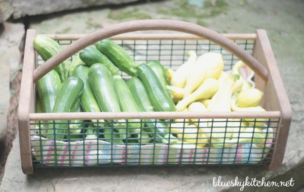 zucchini and squash