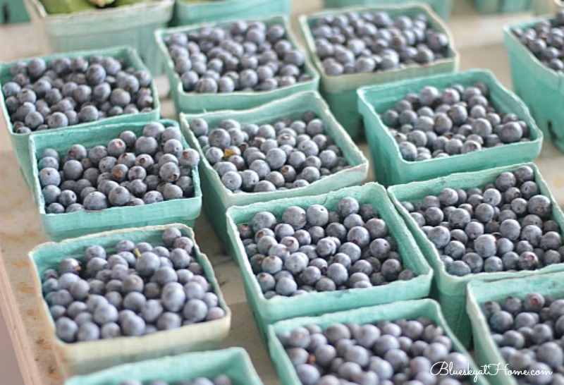 blueberries in boxes