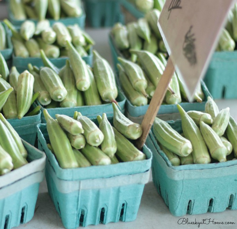 okra in blue boxes