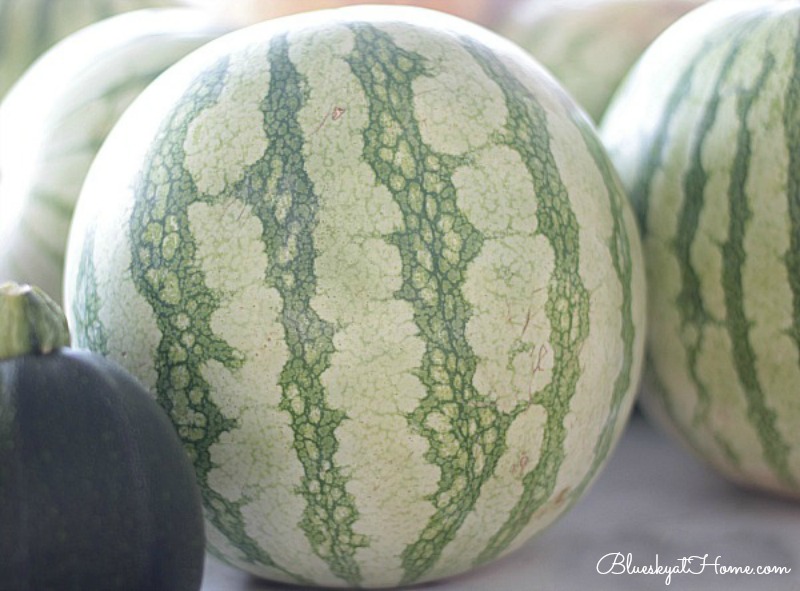 large round watermelon