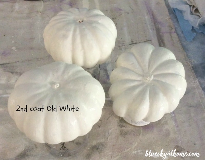 How to Chalk Paint Pumpkins to Fit Your Fall Decor. Easy project to transform pumpkins into ones that match your fall decor. BlueskyatHome.com