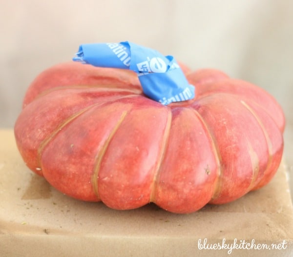 How to Make Pumpkin Place Cards for a Holiday Table. This easy project using the HomeRight Spray Shelter will enhance your table impress your guests.