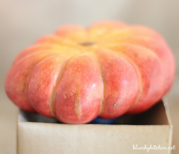 How to Make Pumpkin Place Cards for a Holiday Table. This easy project using the HomeRight Spray Shelter will enhance your table impress your guests.