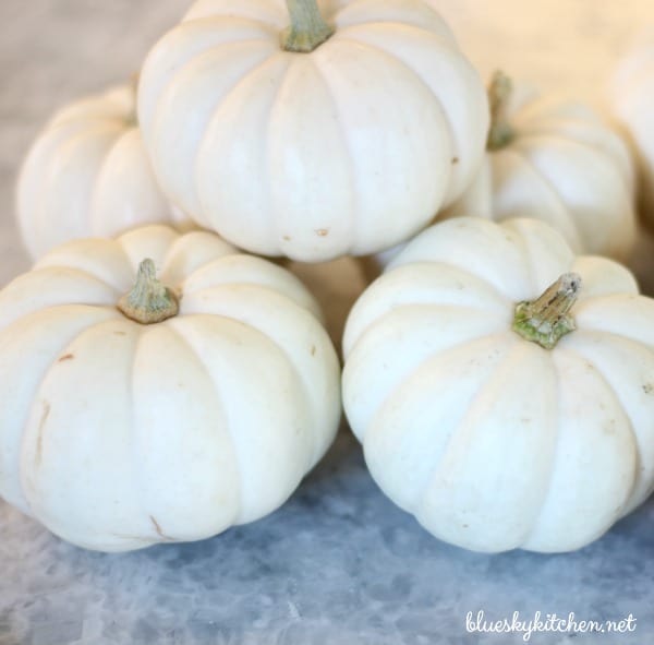 How to Make Pumpkin Place Cards for a Holiday Table - Bluesky at Home