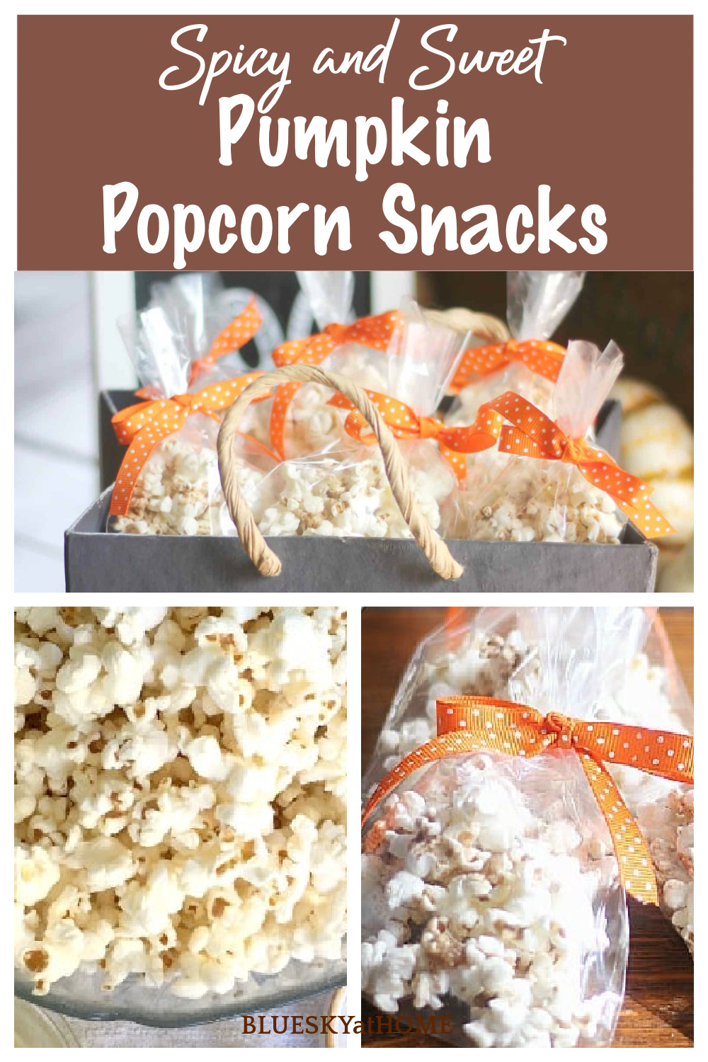 2 Pumpkin Popcorn Snacks ~ 1 Spicy and 1 Sweet - Bluesky at Home