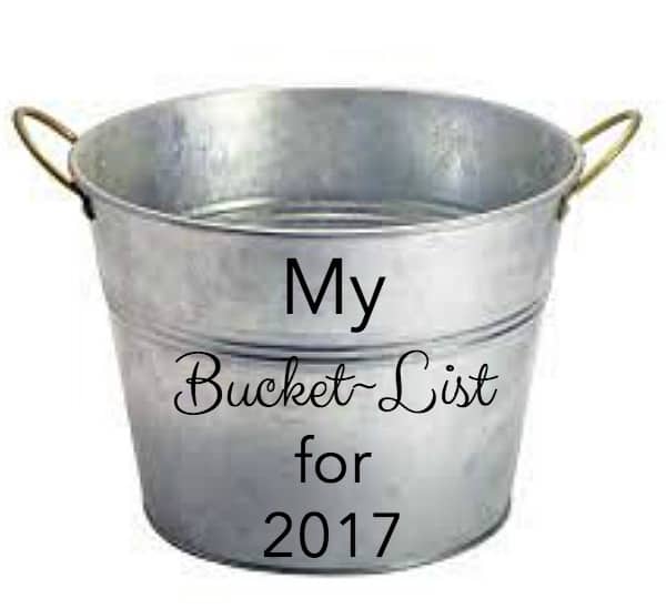 10 Blogging Goals for 2017 + a Few Bucket~List Items