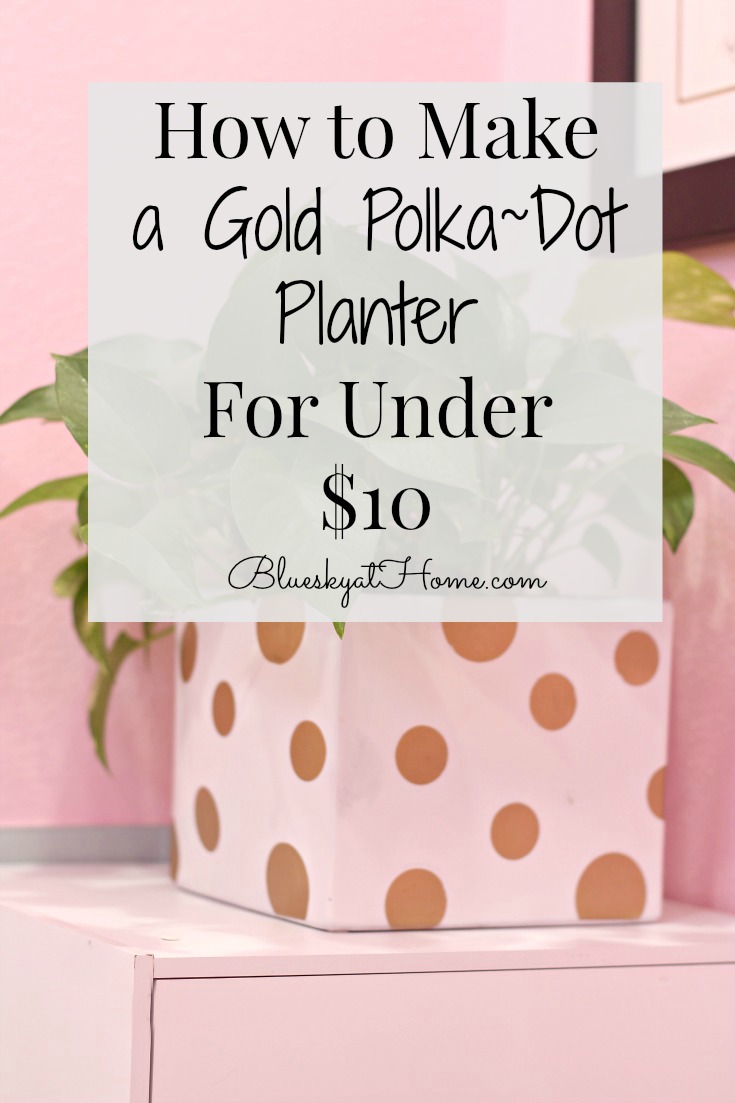 gold polka dot planter graphic