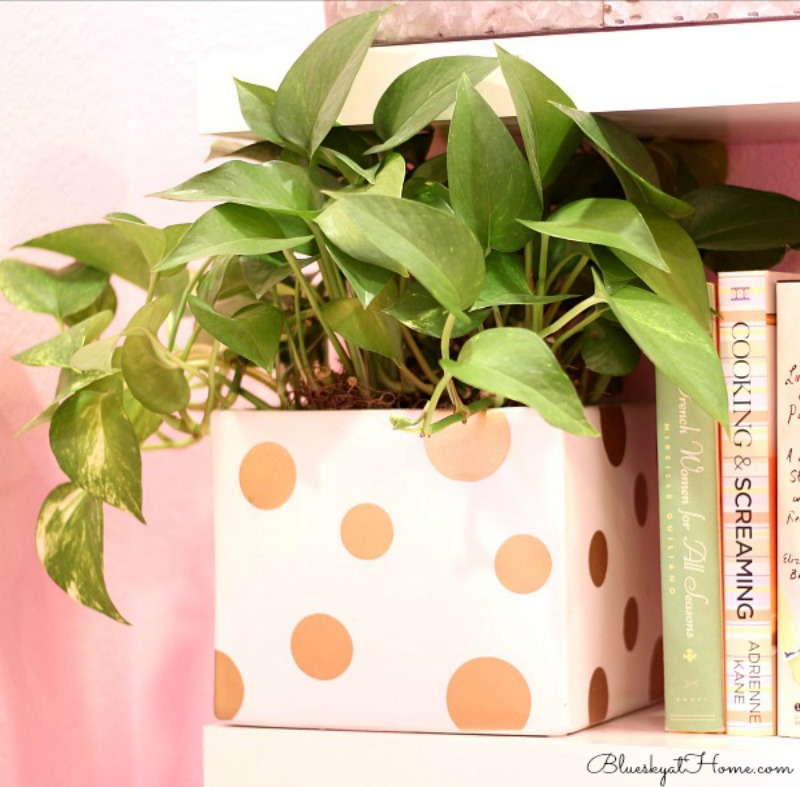 gold polka~dot planter