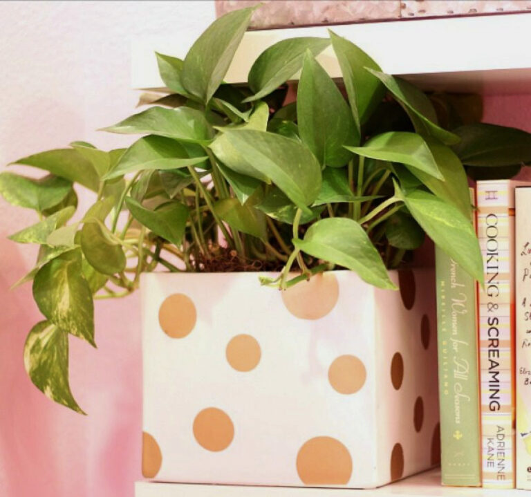 How to Make a Gold Polka~Dot Planter For Under $10