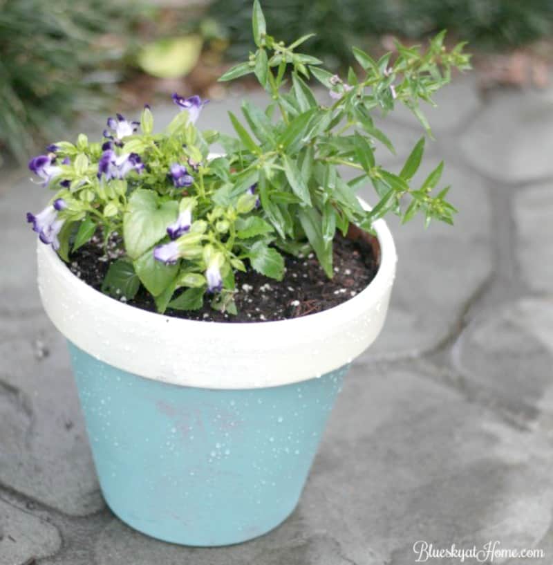 Painting Terra Cotta Pots and Planting Pretty Flowers Go Together