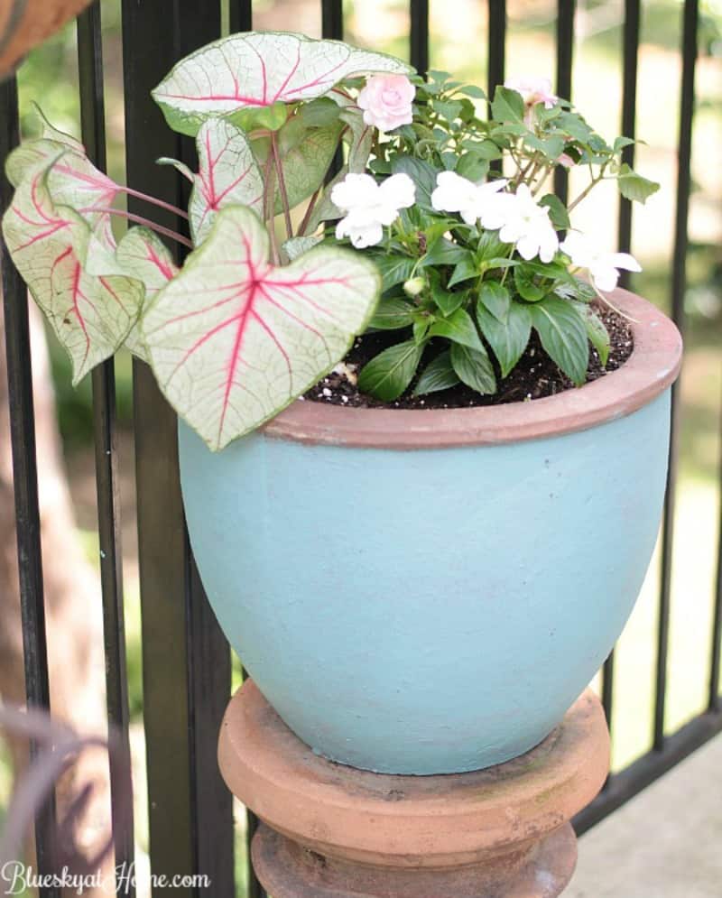 Painting Terra Cotta Pots and Planting Pretty Flowers Go Together