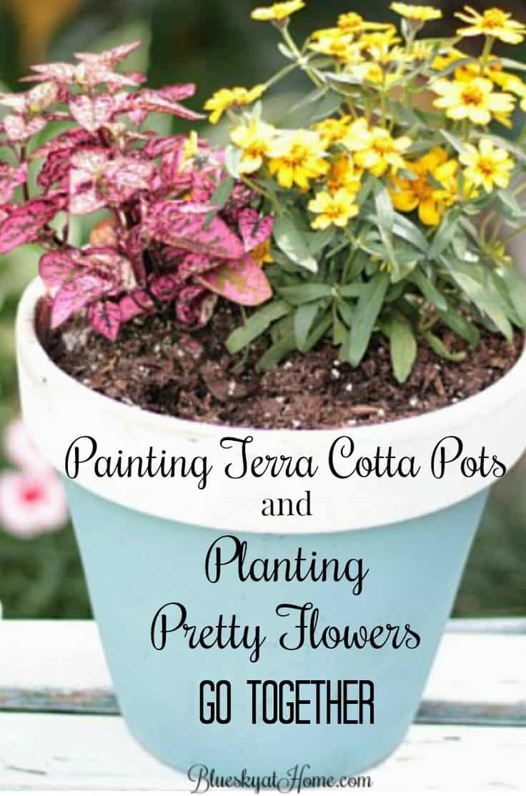 Painting Terra Cotta Pots and Planting Pretty Flowers Go Together