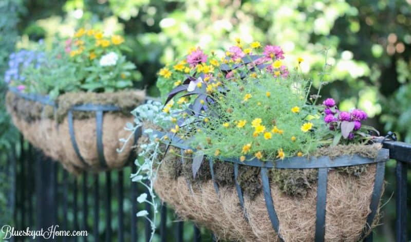 beautiful flowers in a hay rack