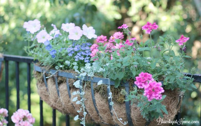 How to Grow a Beautiful Garden in a Small Space. See how a flower garden that is limited to hayracks, pots and small spaces can be beautiful and make an impactful statement. Join this garden tour. BlueskyatHome.com