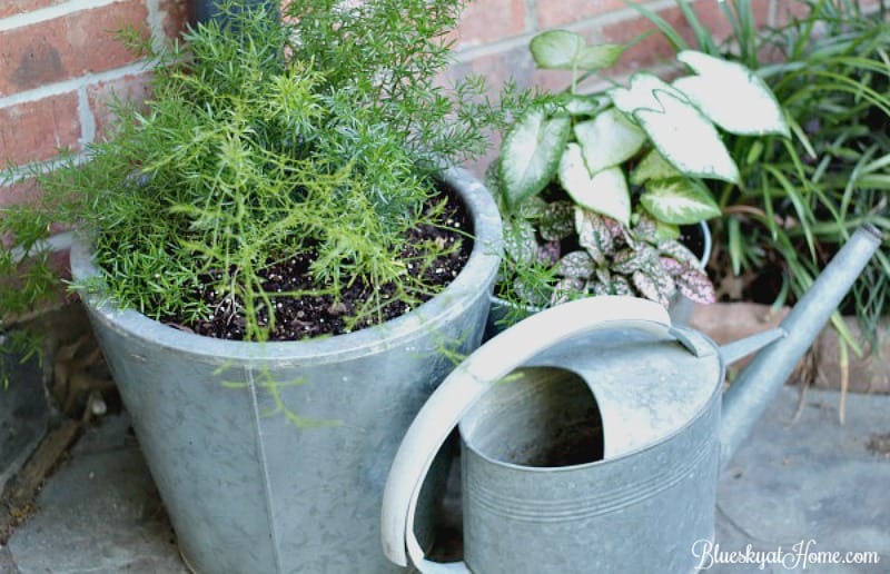 How to Grow a Beautiful Garden in a Small Space. See how a flower garden that is limited to hayracks, pots and small spaces can be beautiful and make an impactful statement. Join this garden tour. BlueskyatHome.com