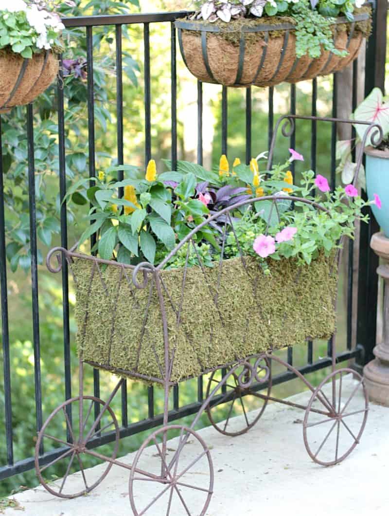 how to grow a beautiful garden in a small space