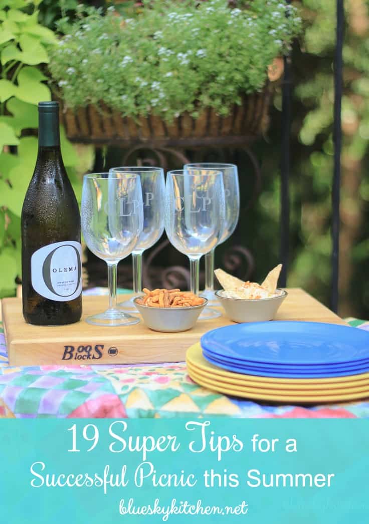 19 Super Tips for a Successful Picnic this Summer