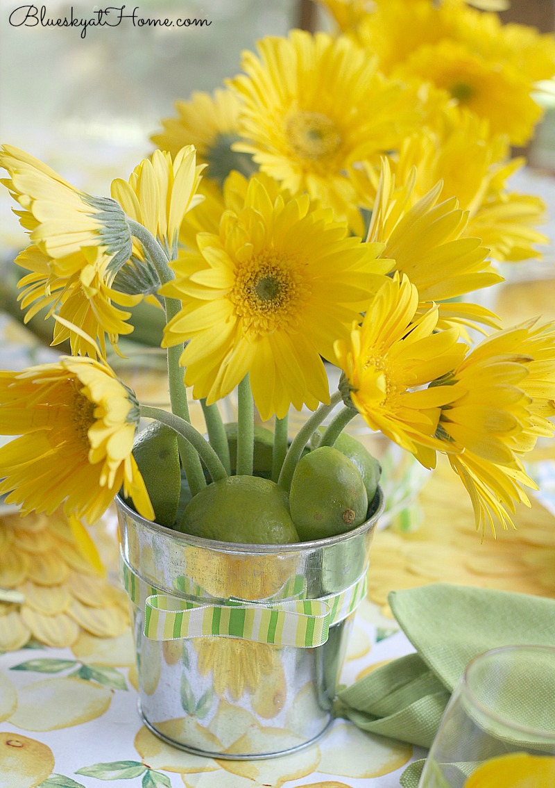 yellow gerber daisies