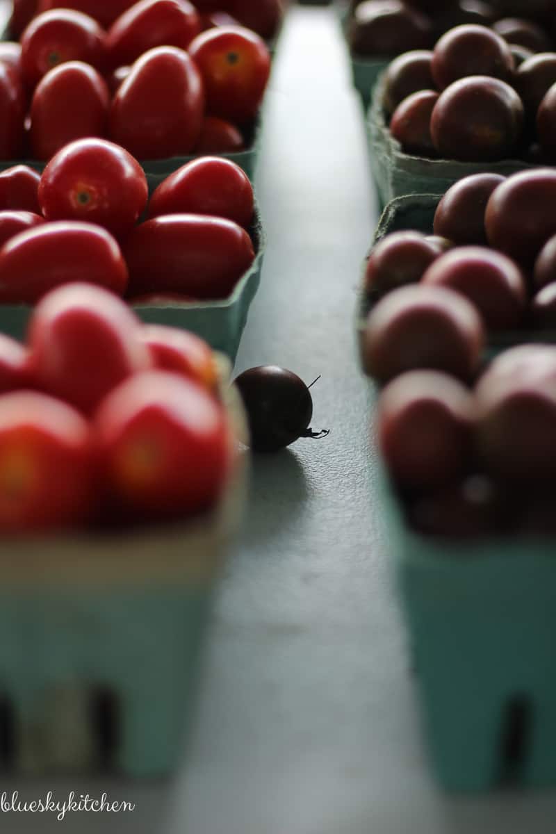 17 Photography Lessons on a Farmers' Market Field Trip. See if the lessons that I learned from a pro will help improve your photography.