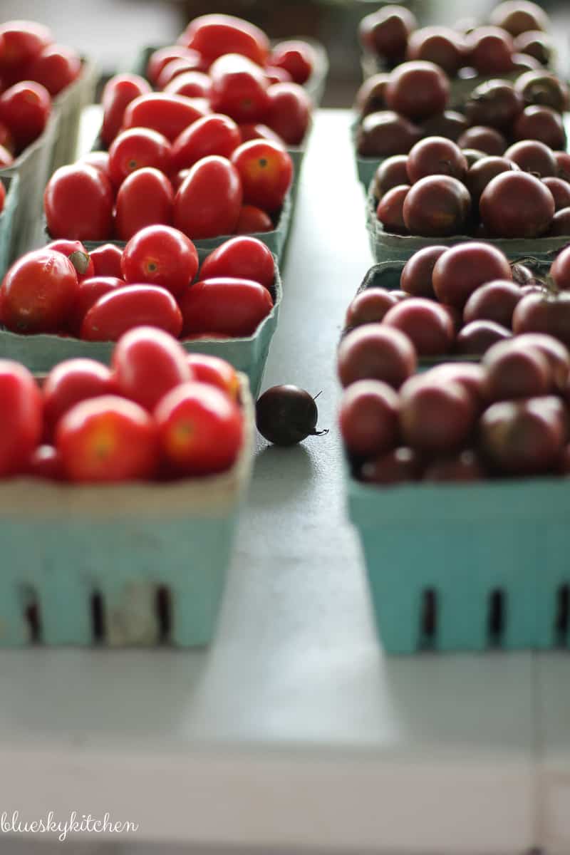 17 Photography Lessons on a Farmers' Market Field Trip. See if the lessons that I learned from a pro will help improve your photography.