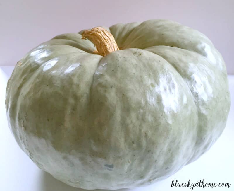 How to Chalk Paint Pumpkins to Fit Your Fall Decor. Easy project to transform pumpkins into ones that match your fall decor. BlueskyatHome.com