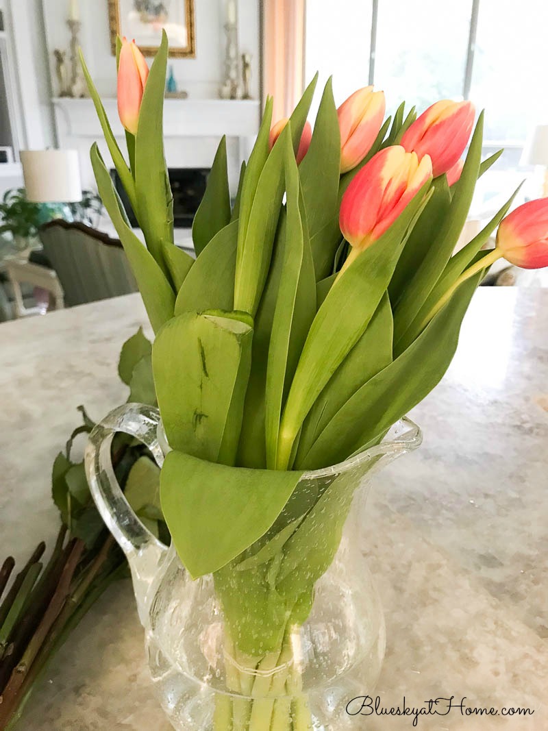 tulips in water