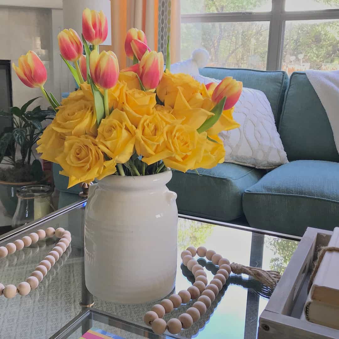 pink tulips opening