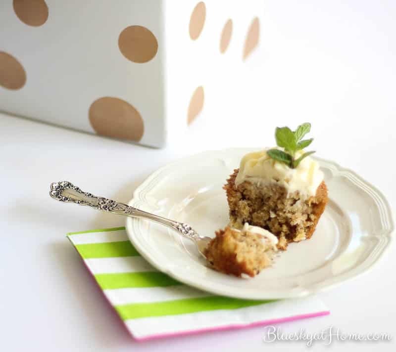Delicious Hummingbird Mini~Cakes
