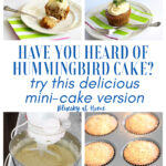 hummingbird mini-cakes