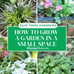 spring small garden space ideas graphic