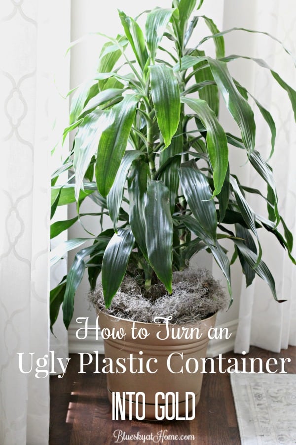 How to Turn an Ugly Plastic Container into Gold. When you can't find the item you need for a home decor project, don't despair. You can turn even an ugly planter into the perfect container with spray paint. BlueskyatHome.com